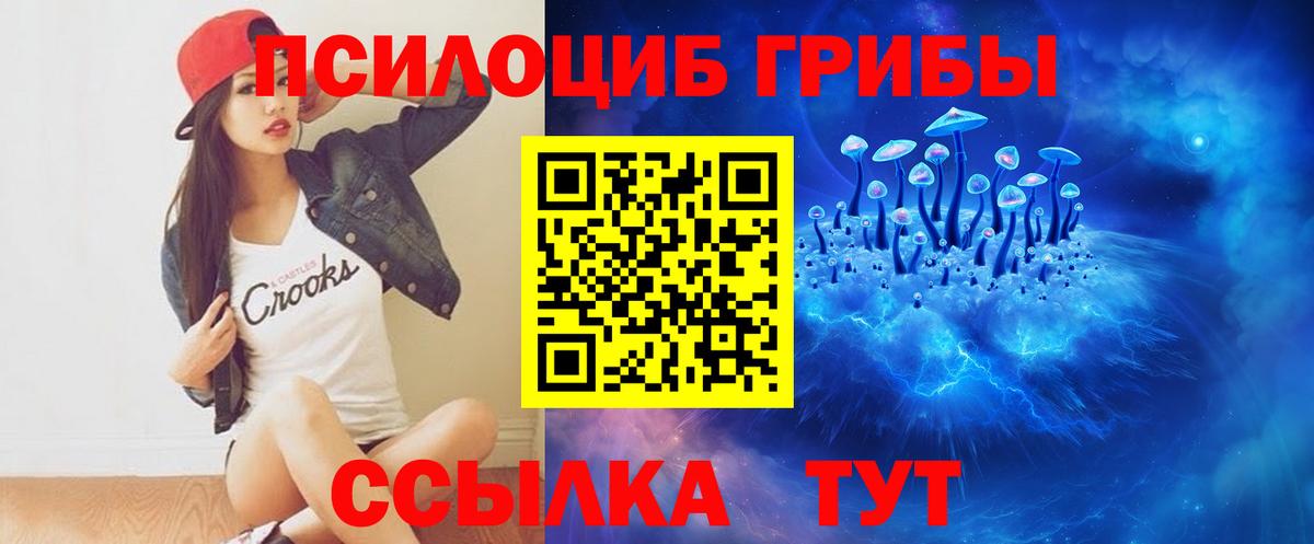 Галлюциногенные грибы Psilocybine cubensis Прокопьевск